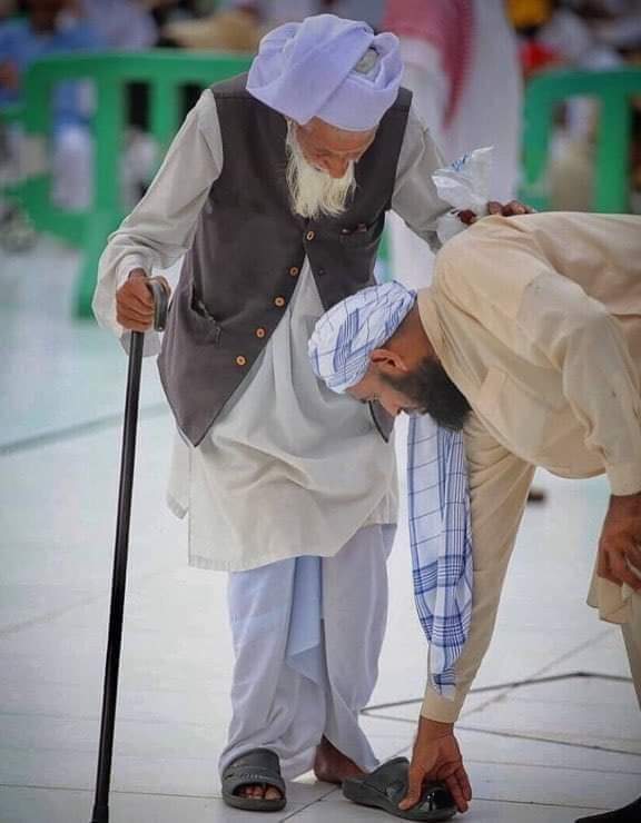 بزرگوں کا ادب
سکون اور کامیابی کی ضمانت