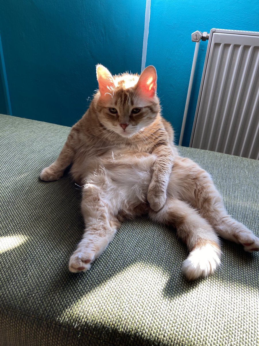 HUmlaufova's tweet photo. @laadrrii Model je to https://t.co/WuPeuza2tX