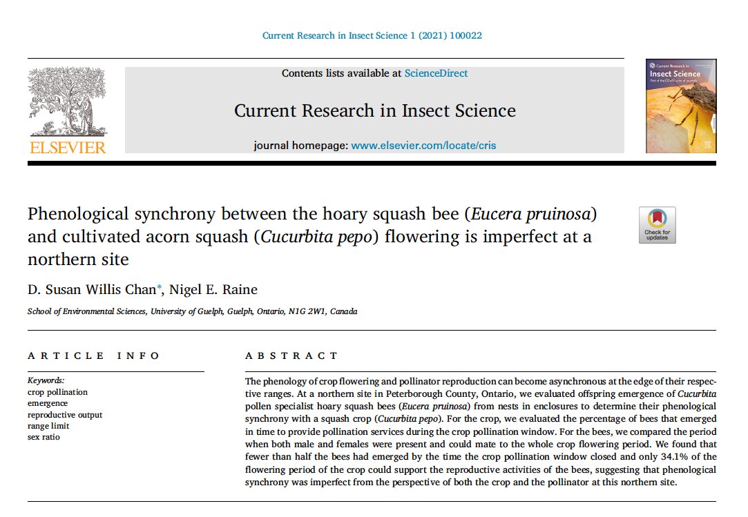 NigelERaine's tweet photo. New @cois_cris paper from Dr. @Squash_Bee showing that phenological synchrony between the hoary squash #bee (Eucera pruinosa) & cultivated acorn squash (Cucurbita pepo) flowering is imperfect at a northern site:https://t.co/ti8TyWzCGb 🎃🐝👩🏽🌾#OpenAccess #Pollinators @1in3mouthfuls https://t.co/dxtk2cxr32