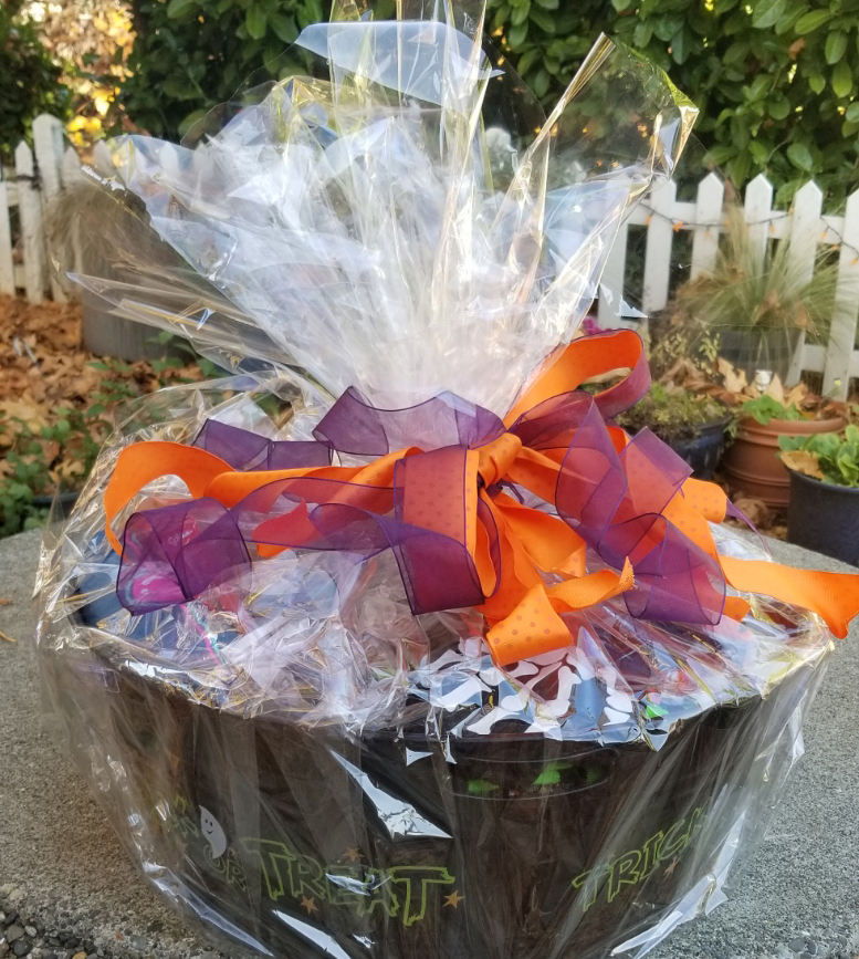ParksforClark's tweet photo. And the winning ticket of the #BOOVILLE basket courtesy of #Shopvanmall is.... raffle ticket 7 8 6 2 2 3! 🎟️🎟️🎟️
Contact us by 12:00 pm Thursday to claim your prize. Dredjou@parksforclark.org, or 360-817-7920.
If unclaimed by 12:00 pm on 11/4/21 another ticket will be drawn. https://t.co/hRgKDALL1m