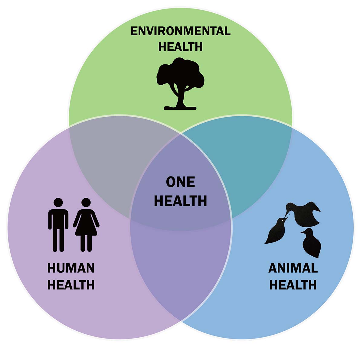 Demain 3 novembre: 
journée #UneSeuleSanté («#OneHealthDay»)

Lisez les articles de notre volume spécial 
"One Health: A social science discussion of a global agenda"
#openaccess parasite-journal.org/component/toc/…