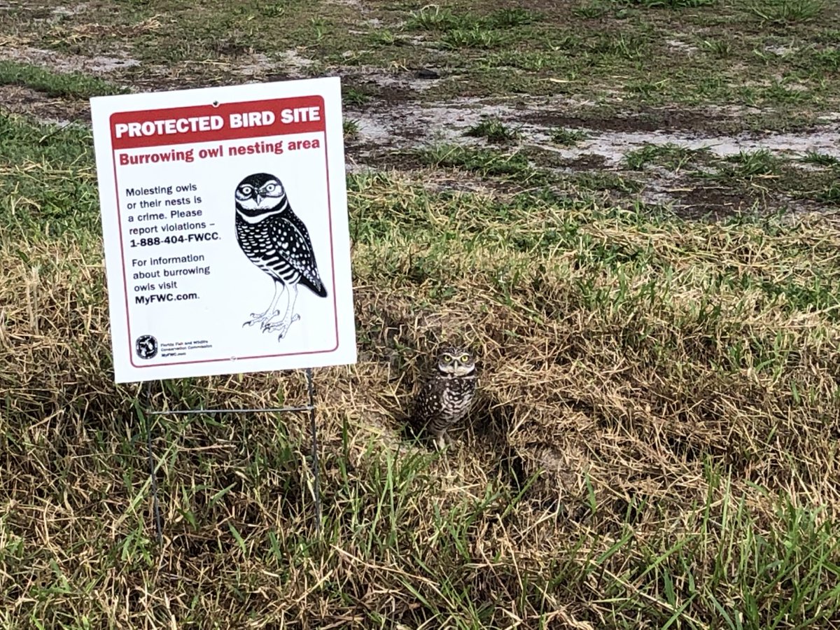 Bonnie Wells tweet media