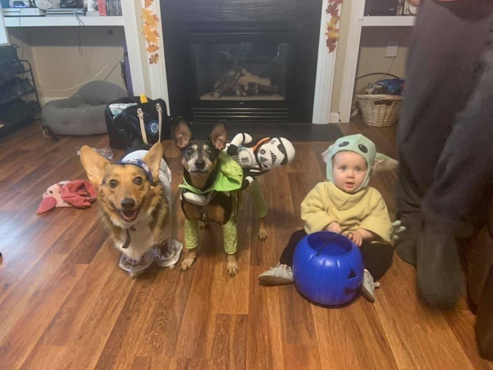 acay_23's tweet photo. @K4ytlynn They miss their friends! https://t.co/rlF7spilPW