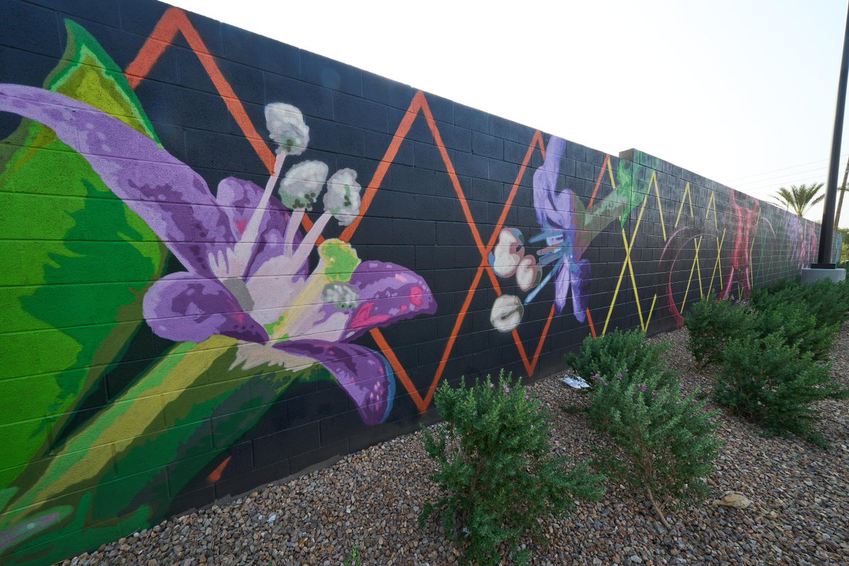amazonnews's tweet photo. Here's a look at local artist Jerry Misko's beautiful 5,000 square-foot mural at our Las Vegas delivery station.

Amazon has invested $6 billion into Nevada over the last decade. We work with local talent and artists as a way to give back to the community. https://t.co/6RyOrxQVmj