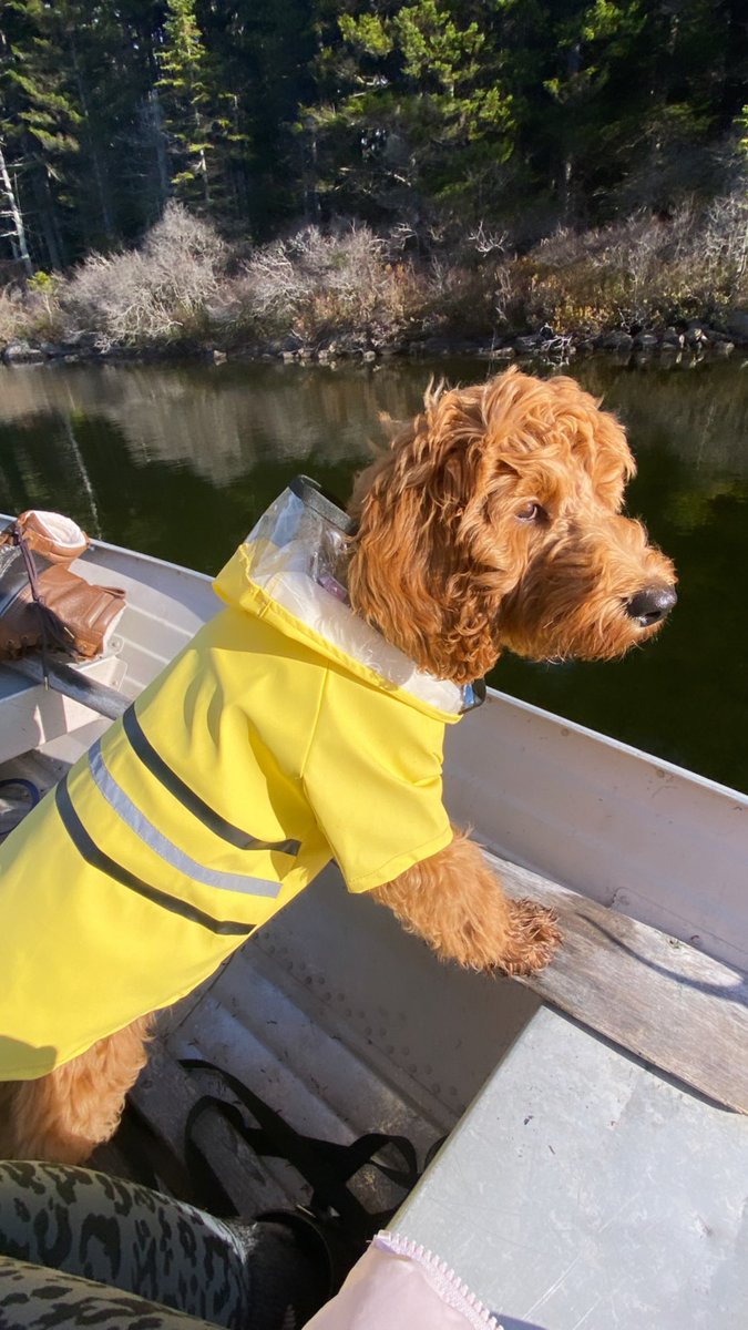 Tamika La Salle-Finley tweet media