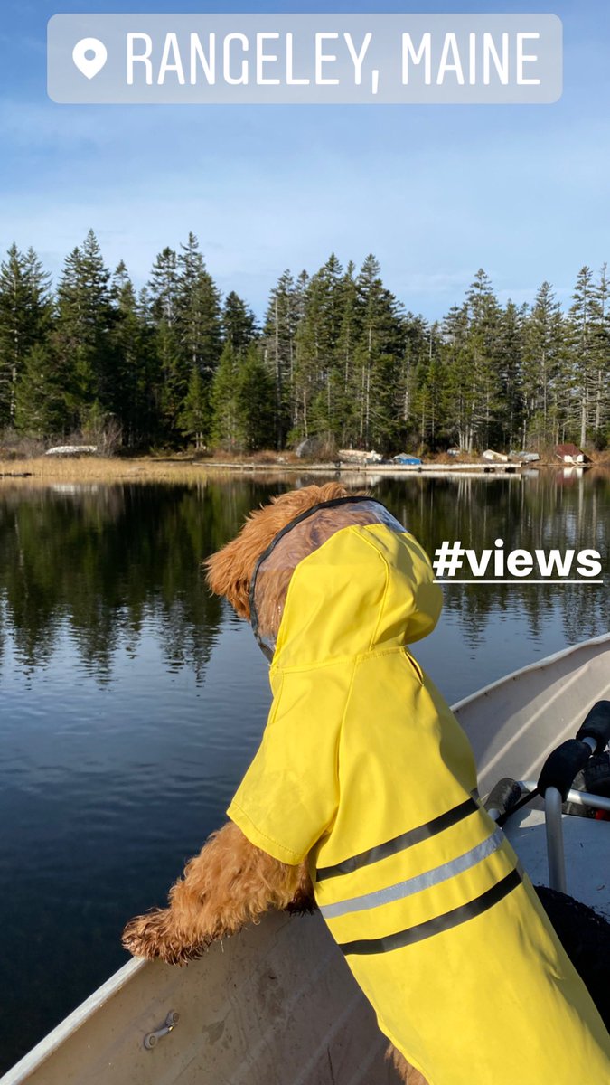 Tamika La Salle-Finley tweet media