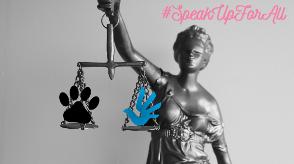 RawYoginiSonia's tweet photo. Give voice to the voiceless.
Give back their voice.
The fight for animal rights is a fight for our rights. #SpeakUpForAll #FixTwittersHumanRightsProblem sga #HumanRightsIsAnimalRights #GiveBackTheirVoice #JoinTheFlock @jack @peta @petashares @dotMudge https://t.co/kVVIt0iMtG