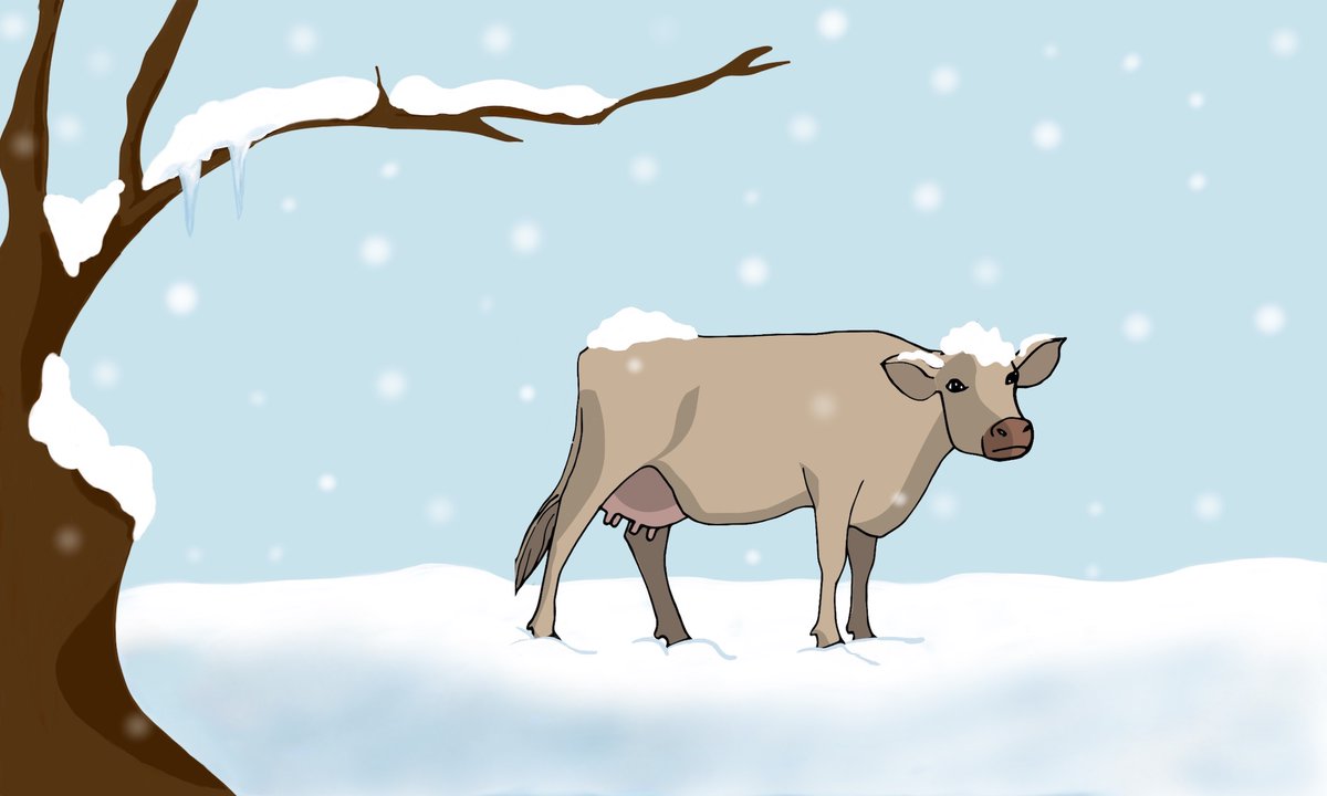 VetAgroSup's tweet photo. #LeRdvBEA Vrai ou Faux ? Le froid arrive, il faut vite mettre les vaches à l’abri ! Découvrez la réponse dans cet article > https://t.co/tQBi87suKC 
La Chaire bien-être animal décrypte chaque mois une idée reçue sur le #BEA et l’élevage, sur ses réseaux sociaux et sa newsletter! https://t.co/M8Y0JmLgG9