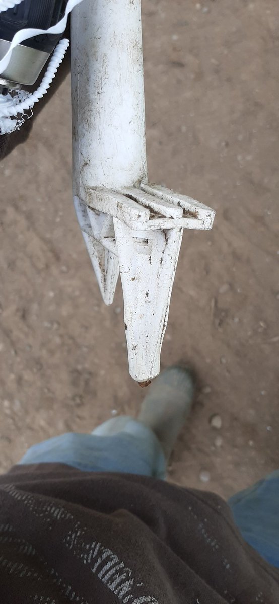 Arreglos rata 🐭por $200 se les da un segundo uso