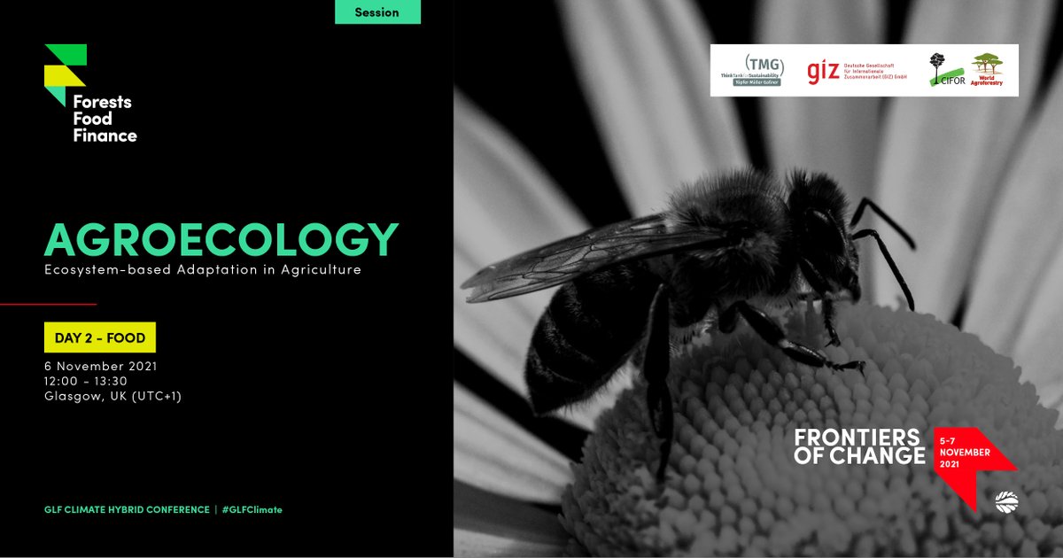 Achieving climate-resilient food systems means transforming food systems.

This session at #GLFClimate explores building alliances for agroecology as #EcosystemBasedAdaptation in agriculture. 

More: bit.ly/3BnydPH 

#EbA <a href="/FriendsofEbA/">Friends of EbA (FEBA)</a> #COP26