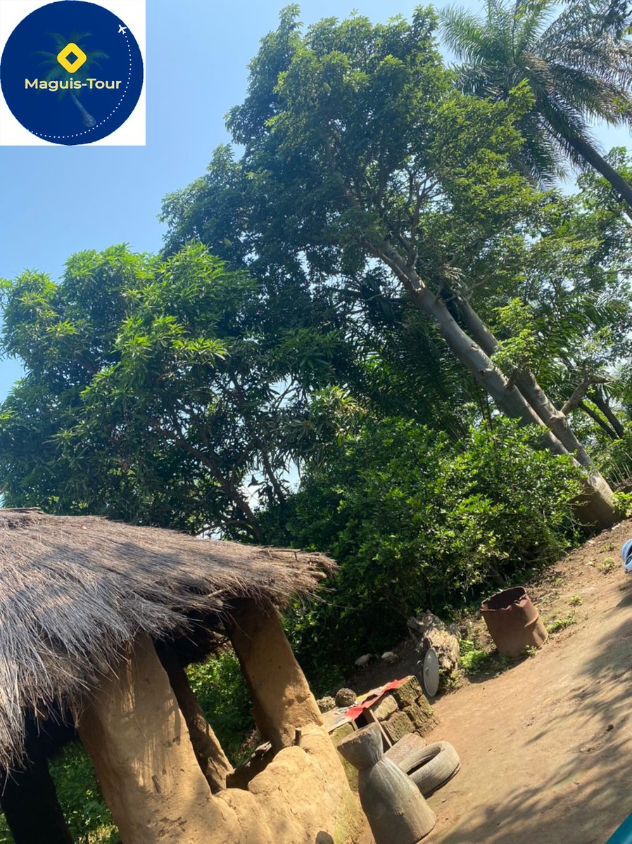 MaguisTour's tweet photo. Quelques part en Guinée, dans la préfecture de Boke. 🏡
Découvrez le pays avec Maguis-tour ❤️💛💚
 #Guinée #Tourisme 
+224623207993
+224661020722 https://t.co/XyPkxCLui5
