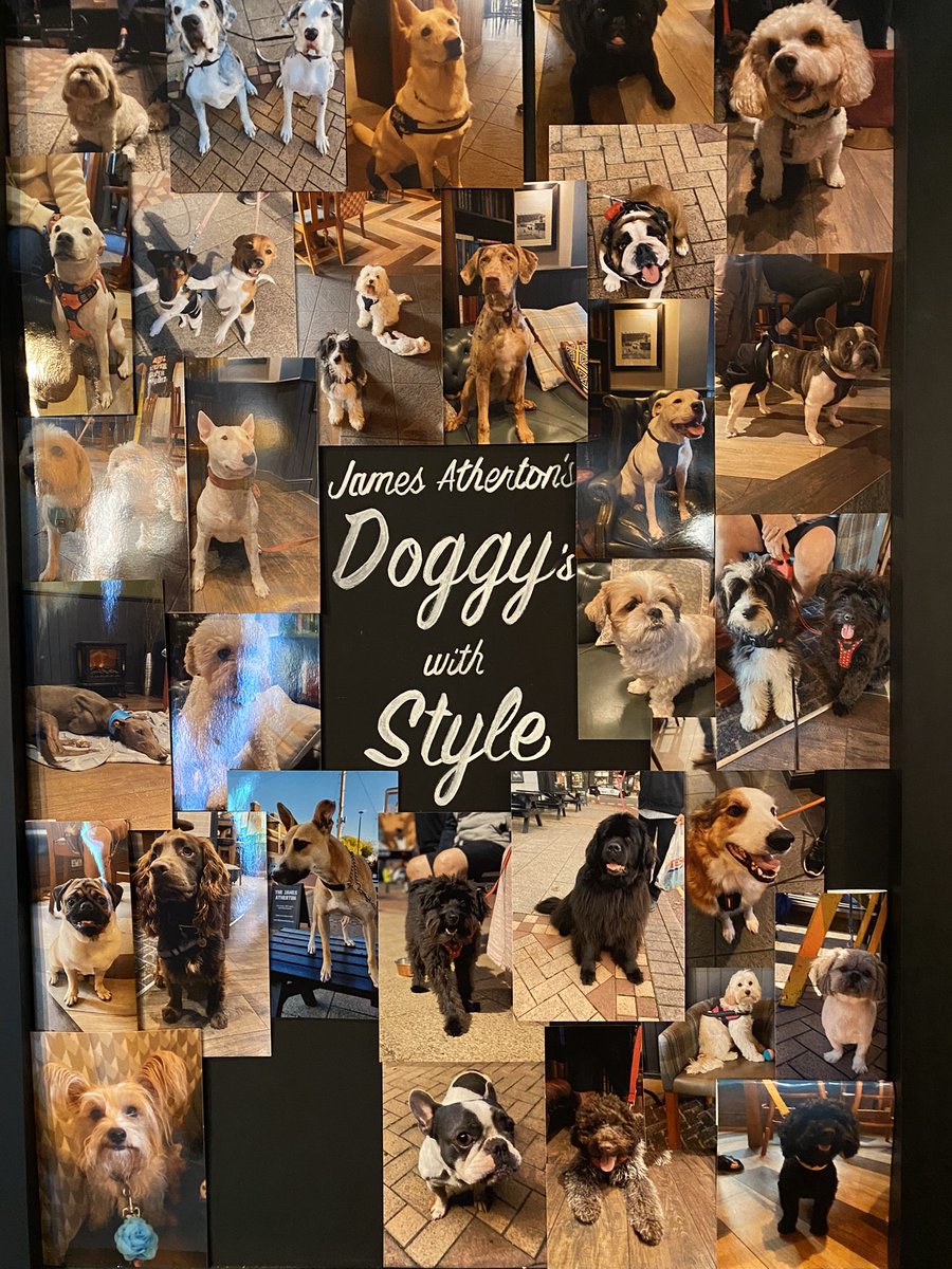 Our local residents of the four legged type in our James Atherton pub in #NewBrighton All our Rockpoint venues ate dog friendly