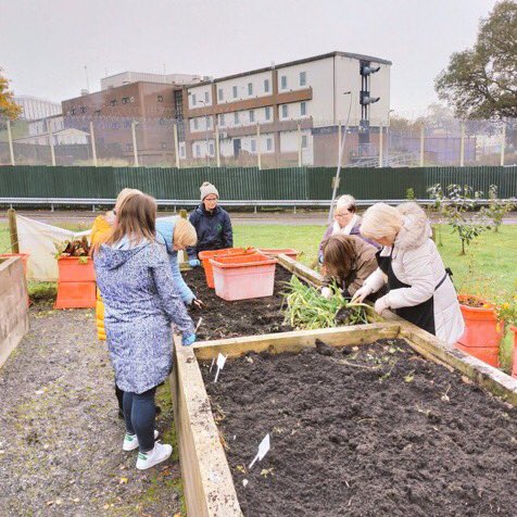 CRJIcentral's tweet photo. Our Short Strand gardening group working with the @GroundworkNI team, clearing the growing beds at Hydebank wood YOC. Lots of autumn Veg harvested @drjohntopping @nihecommunity @modshortstrand @michaeloh67 @mickgeo3 @pkerr92295784 https://t.co/cLNOAZ4q7e