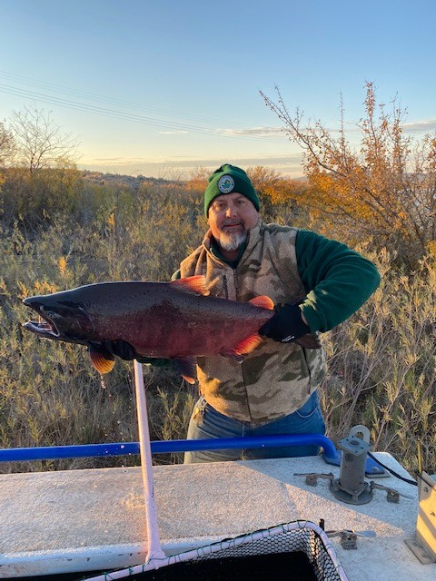 WDFW's tweet photo. Look at these fall colors! The annual King of the Reach fishing derby on the Columbia River near Hanford was this weekend. This derby is unique in that fish are kept alive and used for  broodstock for production of fall Chinook. Thanks to volunteers/organizers who made it happen! https://t.co/ZiQJg3D7U0