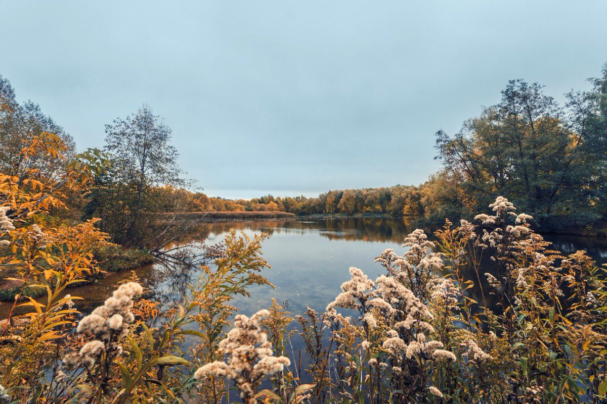 #SegezhaGroup to construct its own treatment facilities at Sokol PPM in the Vologda Region. Investments are approx. RUB 2 bn. The facilities launch is scheduled for 2023. The #Finnish Econet will handle the design &amp; supply besides supervising the installation of the equipment.