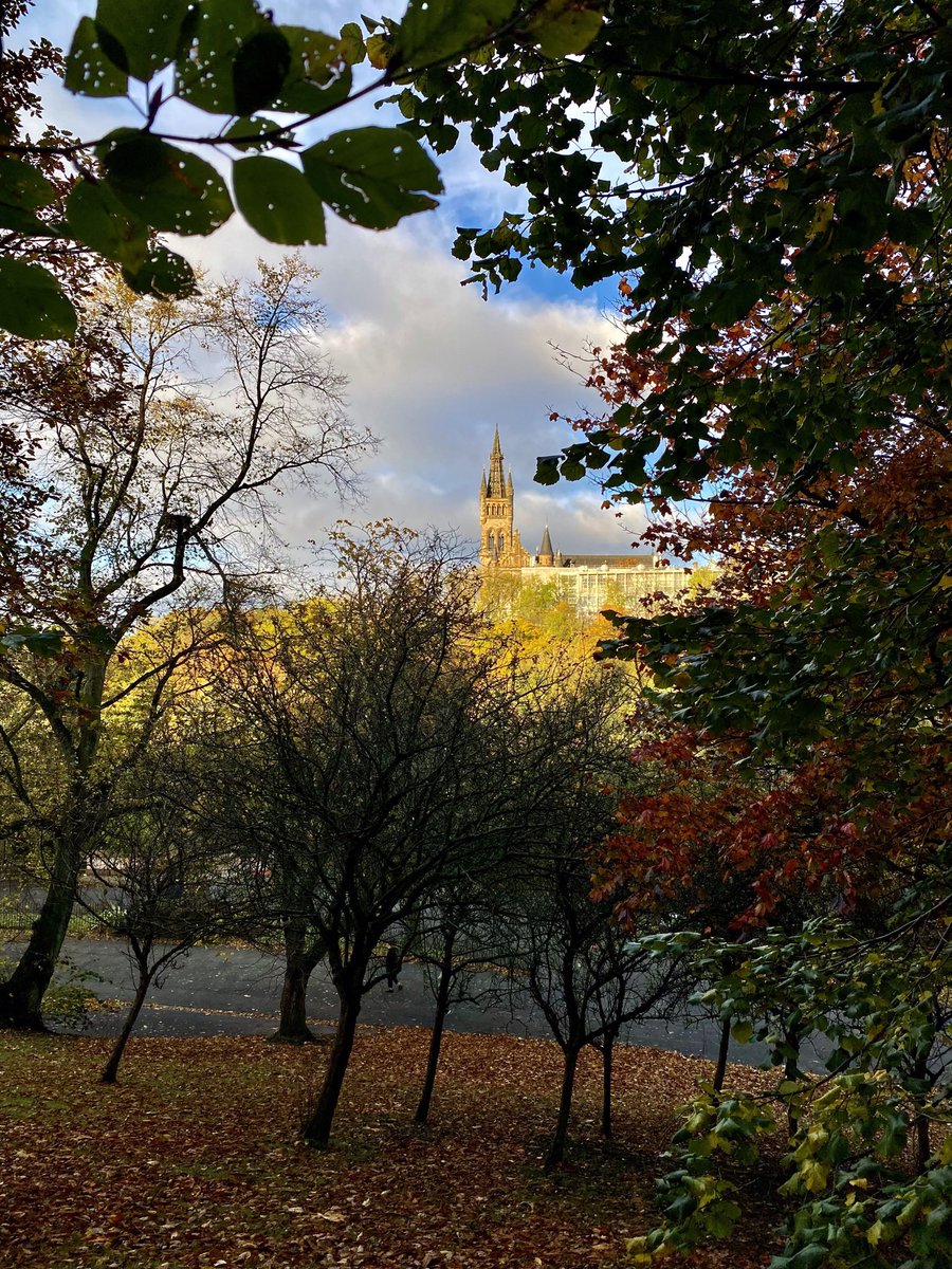 PatersonHelena's tweet photo. Glimpsed through the trees.
Celebrating my 1๏ธโฃ year runnerversary this week. Running helped me relax through a gloomy winter last year and its continued to provide solace and mindful moments to appreciate the world around me.
#NeverTooOld
#PsyRuns
#TeamUofG https://t.co/GxXcL7SC3T
