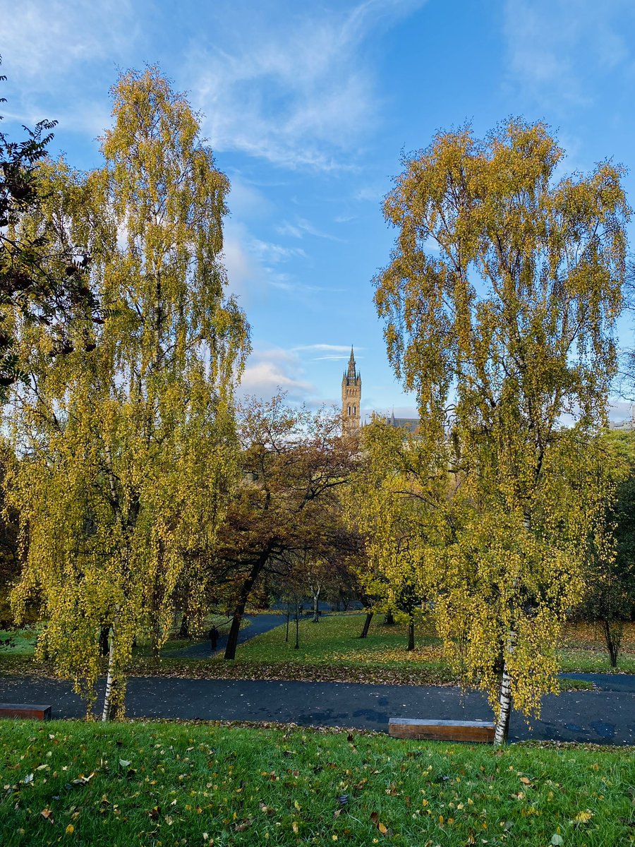 PatersonHelena's tweet photo. Glimpsed through the trees.
Celebrating my 1๏ธโฃ year runnerversary this week. Running helped me relax through a gloomy winter last year and its continued to provide solace and mindful moments to appreciate the world around me.
#NeverTooOld
#PsyRuns
#TeamUofG https://t.co/GxXcL7SC3T