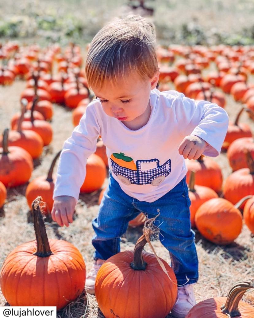 Patterson_Farm's tweet photo. Don't wait until the last minute to enjoy the farm this fall! Our season end Nov. 6! Come out and experience hayrides to the pumpkin patch, visits to the barnyard, walks through our 2.5-acre corn maize, and enjoy Pawpaw Carl’s Playground. #FallFunOnTheFarm #FallToPatterson https://t.co/iX1epStV2H