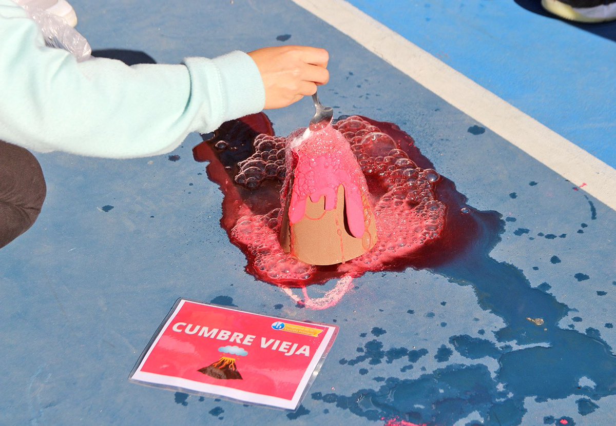 Liceo Europeo tweet media