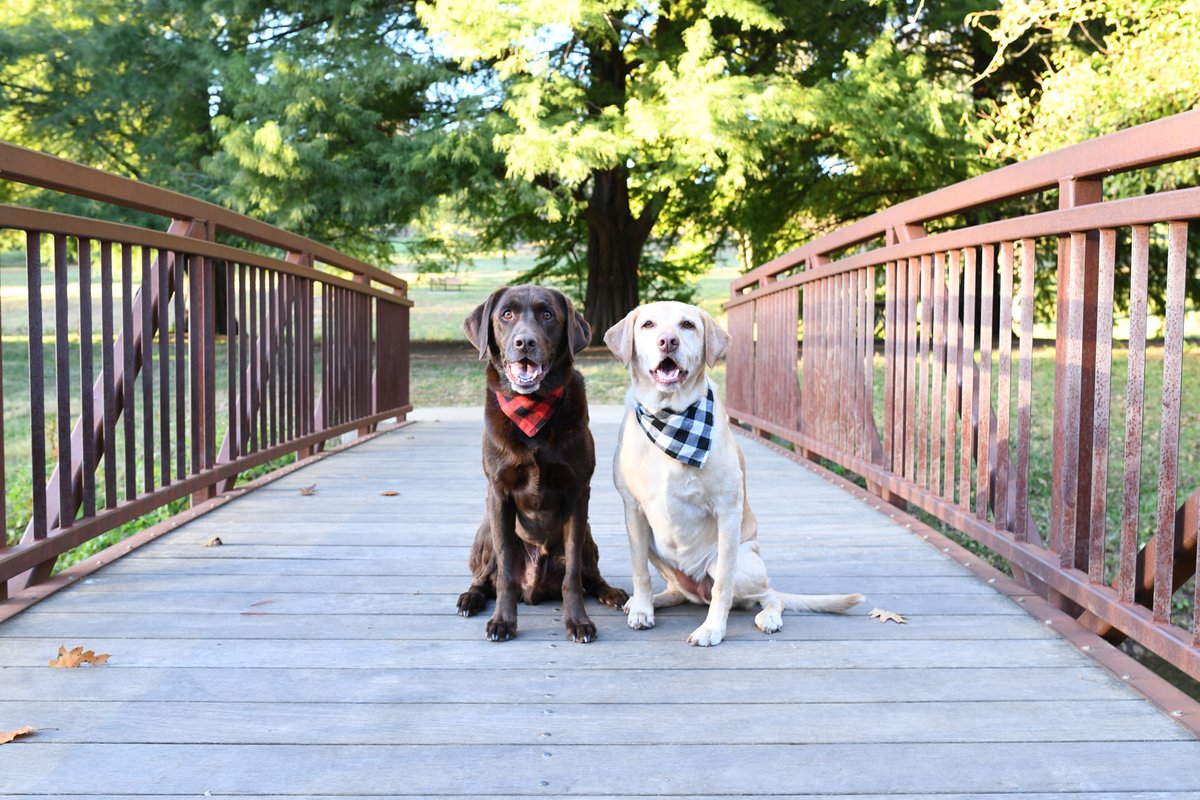 Jennifer Starr tweet media