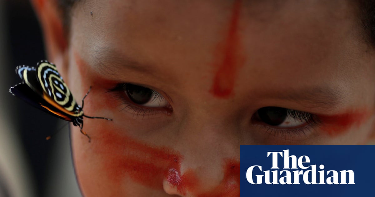 yourhempdiva's tweet photo. Headline: Indigenous peoples to get $1.7bn in recognition of role in protecting forests https://t.co/1NM8CGDU1E https://t.co/IjZc4XfktX