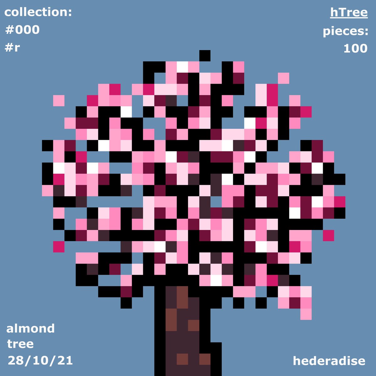hederadise's tweet photo. Who want some almonds??? 🌳🌸🌿🥰☺️ #almondTree gives you the best ones 🥰🌿🌸☺️ #hederadise #hTree https://t.co/CMOVIbnzZO