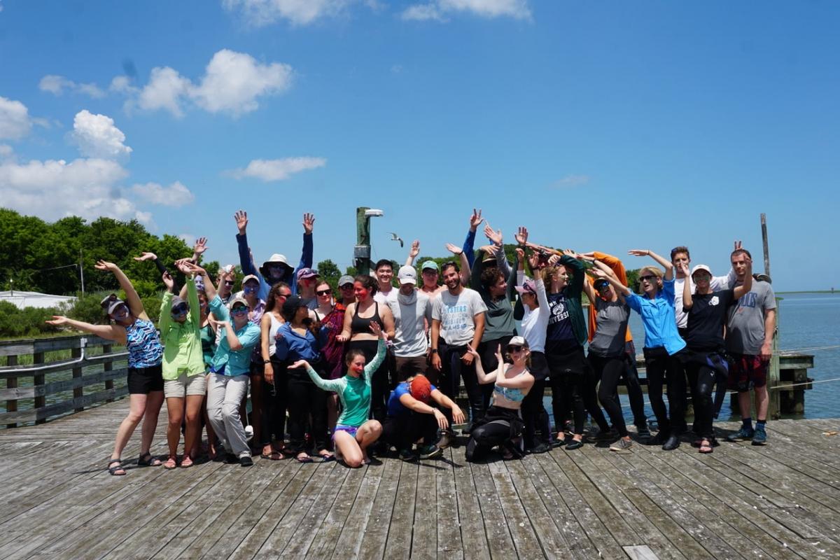 Please RT!
Join our lab as a PhD student studying #bluecarbon flows in coastal ecosystems @vcrlter using aquatic #eddycovariance and other methods. Email a short description of your background/motivation to Peter Berg (pb8n@virginia.edu). Learn more: berg.evsc.virginia.edu