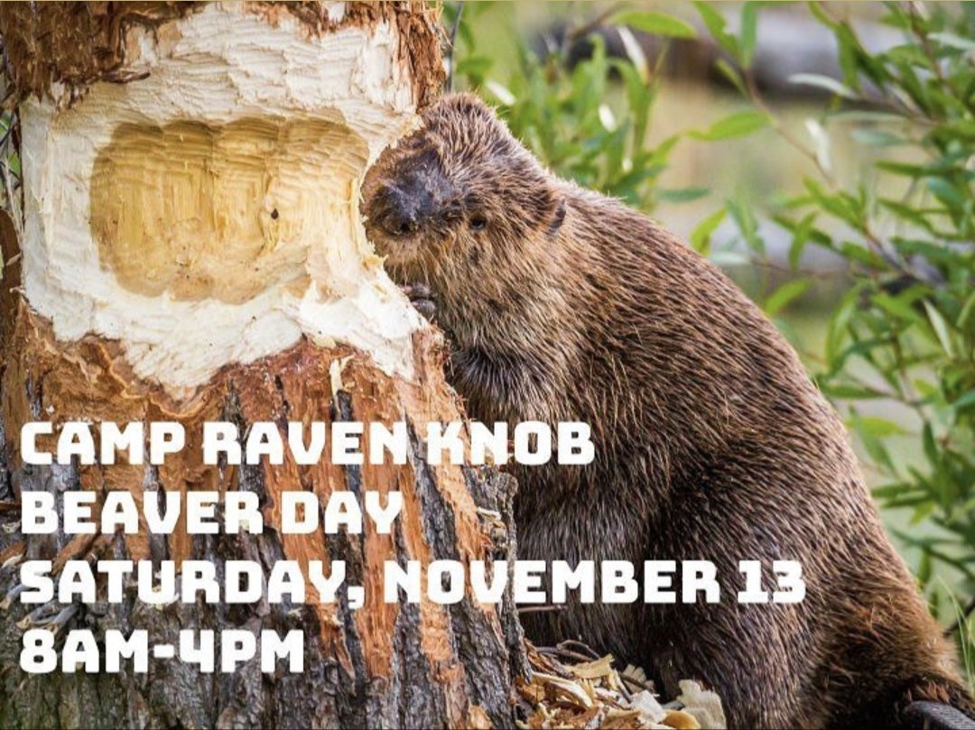 RavenKnobBSA's tweet photo. Join us Saturday, November 13 for a workday at CRK! RSVP in the link in the bio. #ravenknob https://t.co/evPKAuBkb5