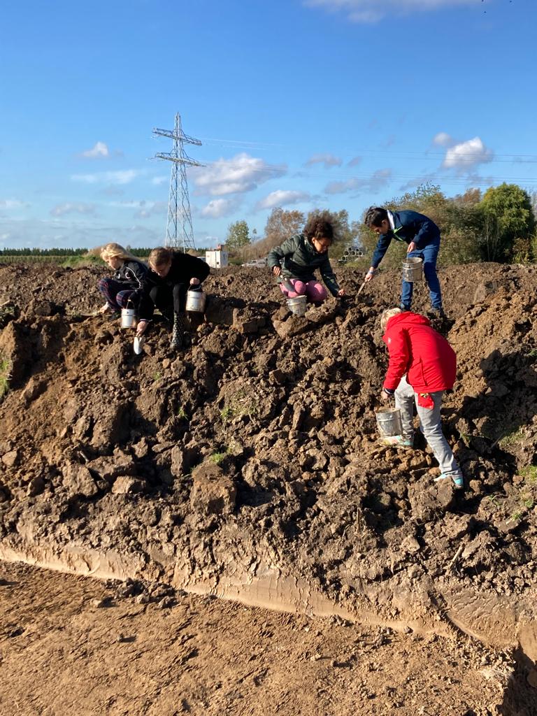 Met de handen in de modder! Gisteren was groep 6/7a van basisschool de Bongerd op bezoek bij de archeologische vindplaats Kersenweide. De kinderen hebben zelf opgravingen mogen doen en de gevonden voorwerpen onderzocht. Meer weten? bit.ly/3w8cMBa