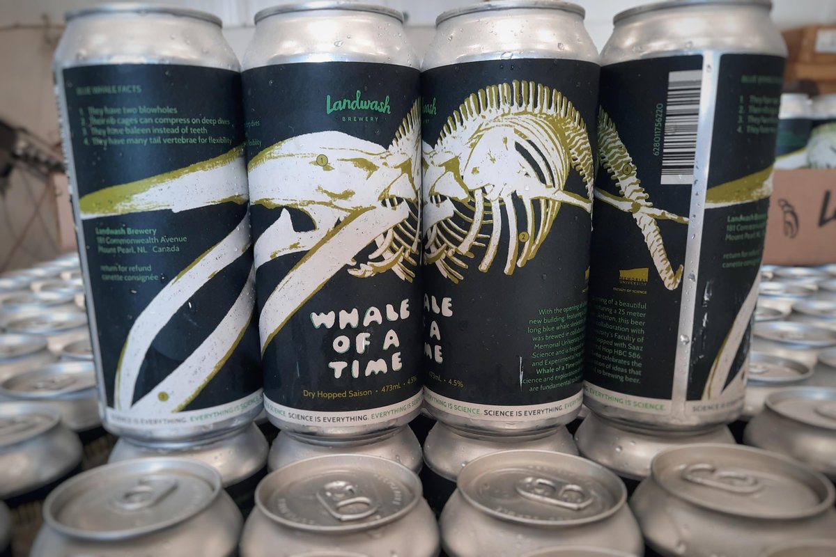 Well look at this!!! Anyone for a Whale of a Time? A Special collaborative brew between <a href="/landwashbrewery/">Landwash Brewery</a> and <a href="/MemorialUSci/">Faculty of Science, Memorial University</a>. <a href="/MemorialU/">Memorial University</a> <a href="/MemorialUAlumni/">Memorial University Alumni</a>...coming sooner than you think!