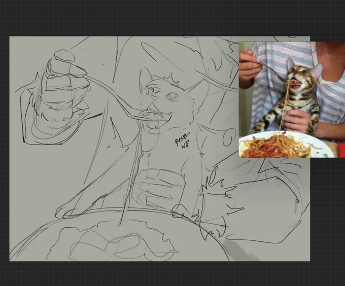 Spaget cat won so 