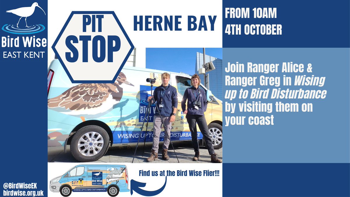 BirdWiseEK's tweet photo. Join Rangers Alice & Greg at #HerneBay on Thursday to find out more about your #DaringDozen. https://t.co/AAtdqlgPA4