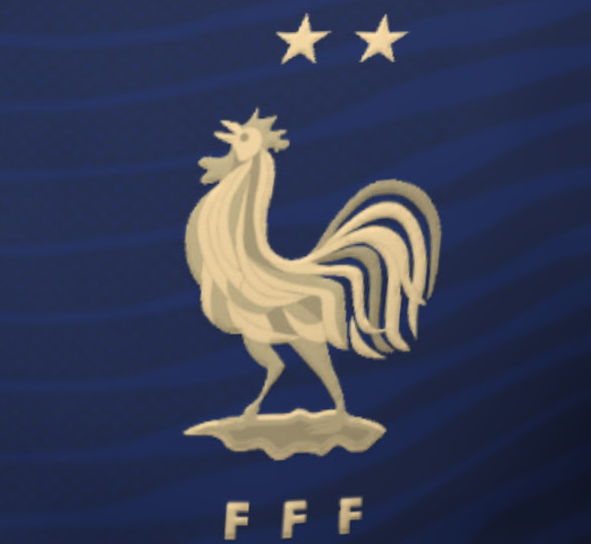 ActuFoot_'s tweet photo. Voici à quoi devrait ressembler le maillot de l'équipe de France pour la Coupe du monde 2022. 👕🇫🇷

📸 @Footy_Headlines https://t.co/fNnTROtNB6