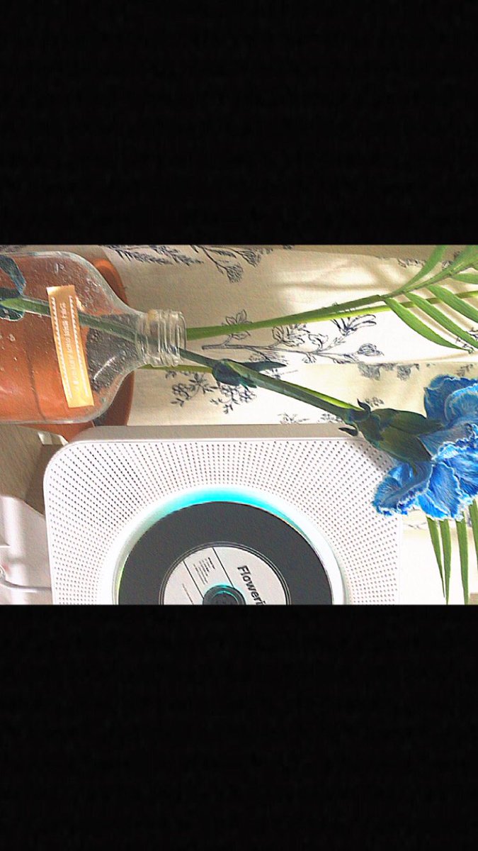 tellmevvhatidid's tweet photo. #우진이의_만개한_스물셋
#flowering_23_WJ https://t.co/sFq6379rYl
