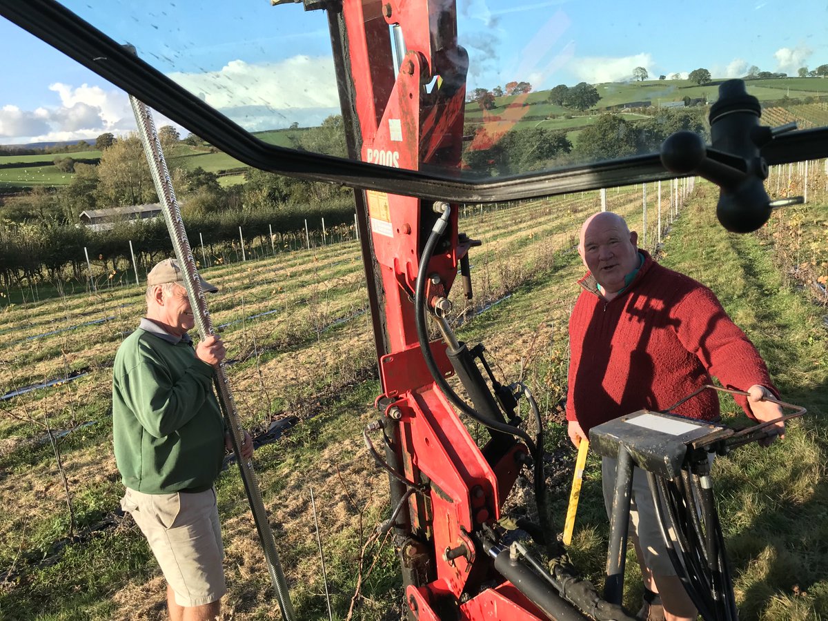 Welshwines's tweet photo. Team work #trellising posts going in like a knife in butter trusty old #postknocker works a treat. https://t.co/908ykHKksK