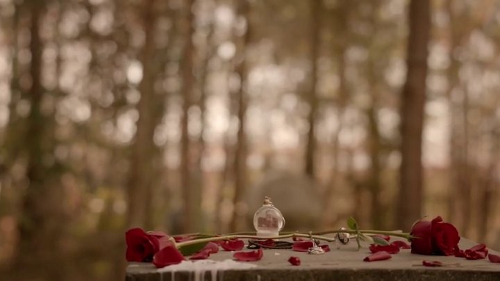 wocdsley's tweet photo. in memory of stefan salvatore https://t.co/X0TCcBYEbU
