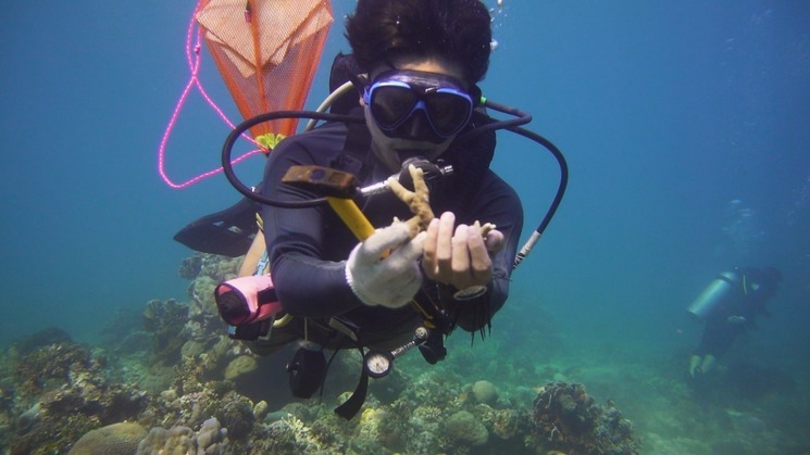 tudelftglobal's tweet image. Four @tudelfttpm minor International Entrepreneurship &amp;amp; Development students are starting a #Crowdfunding campaign, icw @SupportReef, to restore 500m2 #CoralReef before the end of 2022.

Join them in their mission &amp;amp; Read more here: supporttudelft.nl/project/reef-s… #TUDelftGlobalInitiative