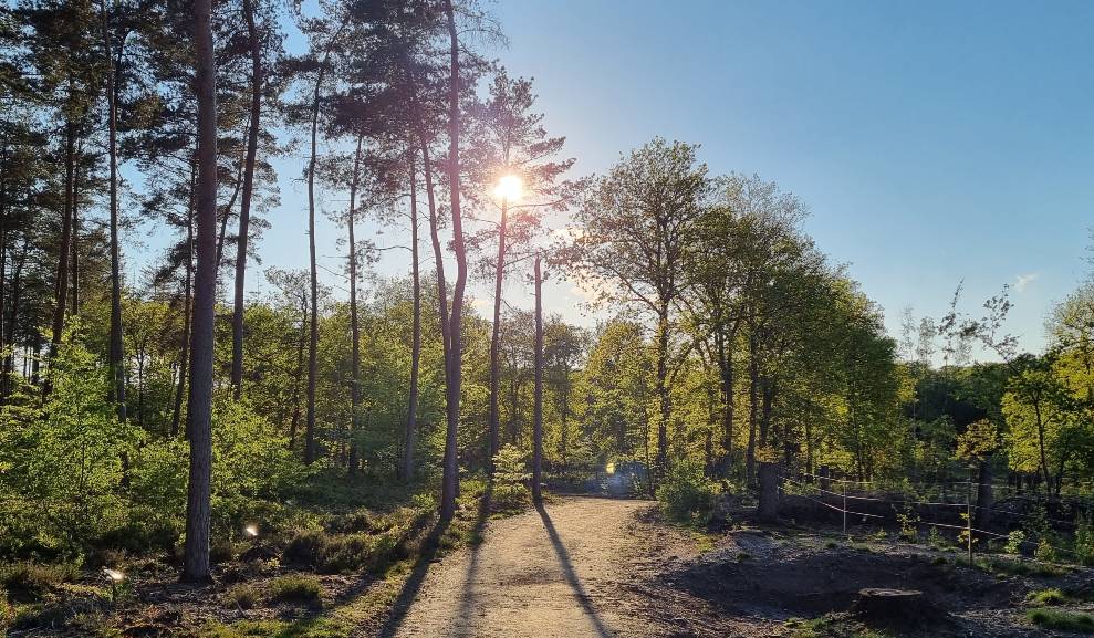 Bij natuurbegraafplaats Elspeterbos zal twee keer per jaar een Boomplantdag georganiseerd worden in een herinneringsbos. Nabestaanden kunnen op die manier hun dierbare herdenken. 
garderen.nl/nieuw-herinner…