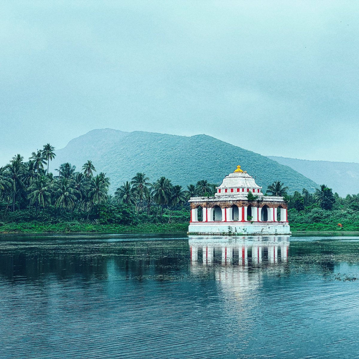 VinayAnanthu's tweet photo. Morning or Evening ?
Let me know in the comments.
#shotoniphone
.
.
#vinayananthu #temple #templesofindia #templesofsouthindia #indiantemples #nature #naturephotography #peace #natgeo #yourshotphotographer #yourshot_india #indianphotography #apple #IncredibleIndia https://t.co/vbau7PABjD