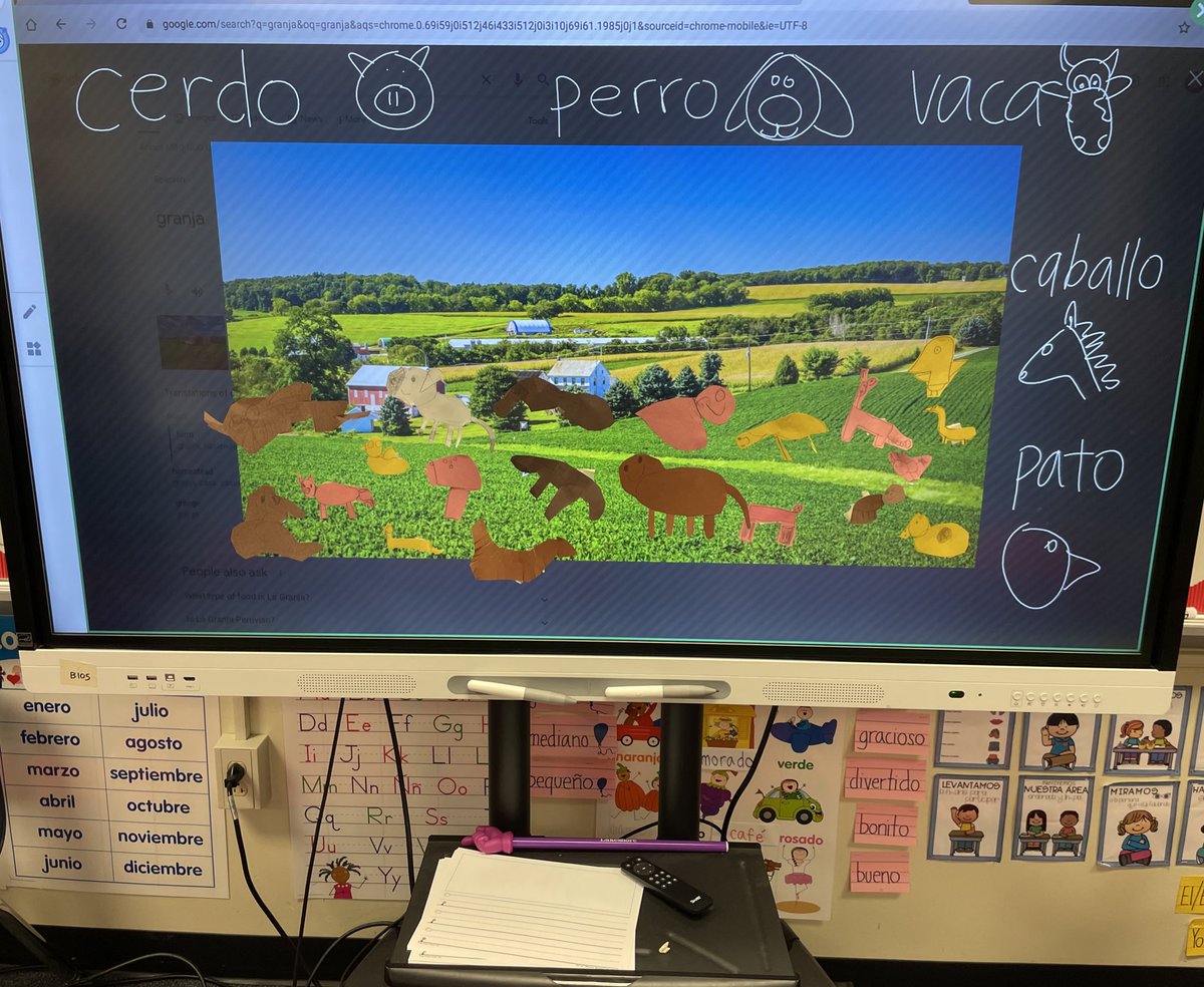 sophieminieri's tweet photo. Today we combined social studies and escritura! Students had to draw the farm animals they knew, and then write sentences about how many they saw! #MsMinierisClass @FerChavarra5 @IreneZamoraSoto @PollyGlotPress @andreitabarbosa https://t.co/XLWxQLo8pA