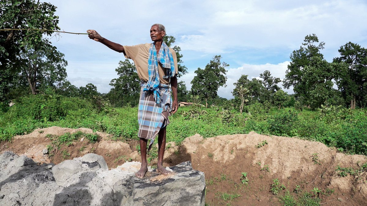 Survival International tweet media