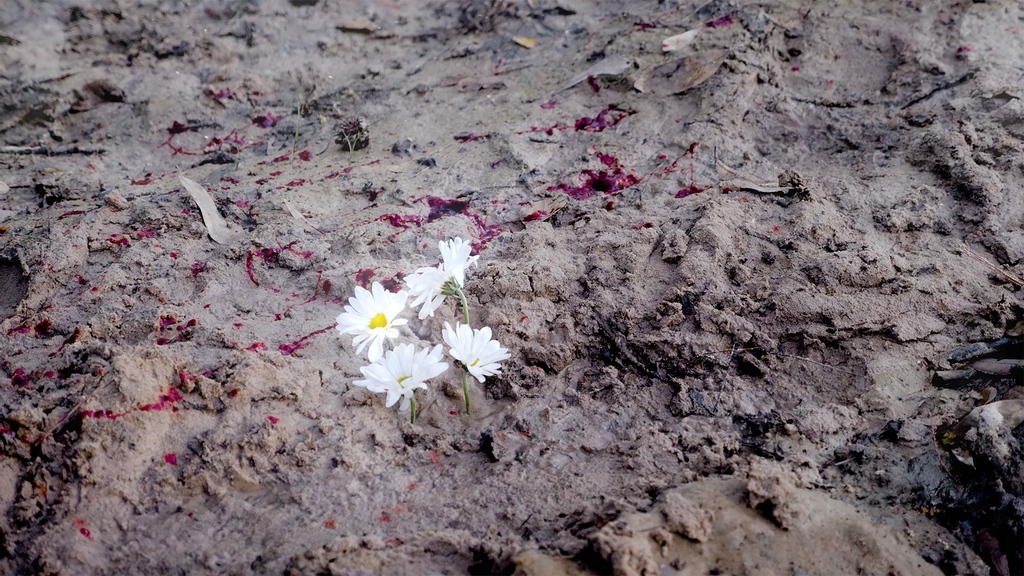 TexasBiennial's tweet photo. @FotoFest invites you to a screening feat films that explore relationships between the construction of sociopolitical narratives and subjective accounts and experiences w Tay Butler, Ryan Hawk, Stephanie Concepcion Ramirez. Nov 4 | 6PM; Registration required. https://t.co/AAAUs0sBAS