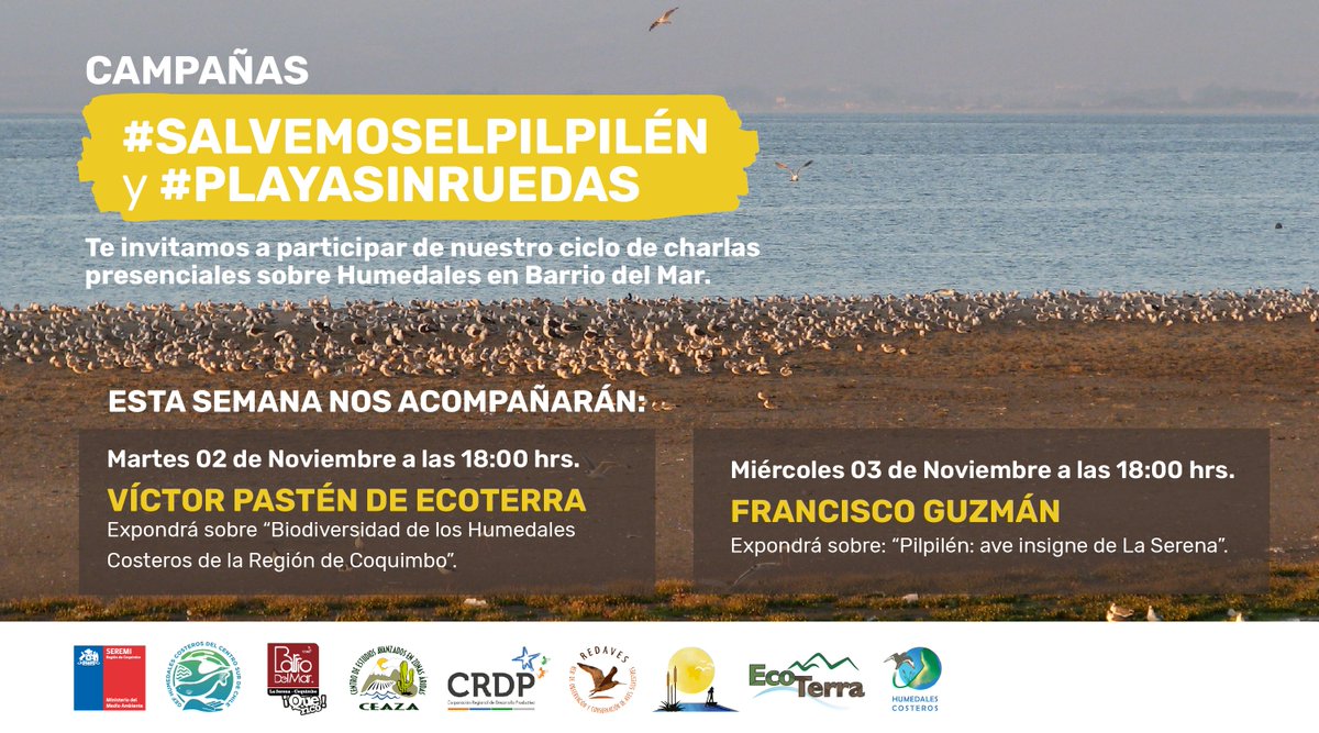 MMACoquimbo's tweet image. Hoy en #Coquimbo continúa el ciclo de charlas sobre #humedales Esta tarde a las 18 horas se abordará la biodiversidad de los humedales costeros y las características del #Pilpilén, ave insigne de #LaSerena

Terrazas CLUB O2 Av. Costanera #5700

#SalvemosElPilpilén #PlayaSinRuedas