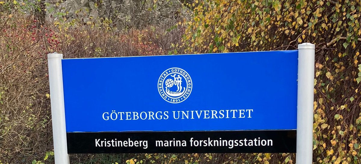 Visit to the @KristinebergC today to cover possible futures of #scientific dive training collaoration in the Nordic regions @Tvarminne @helsinkiuni