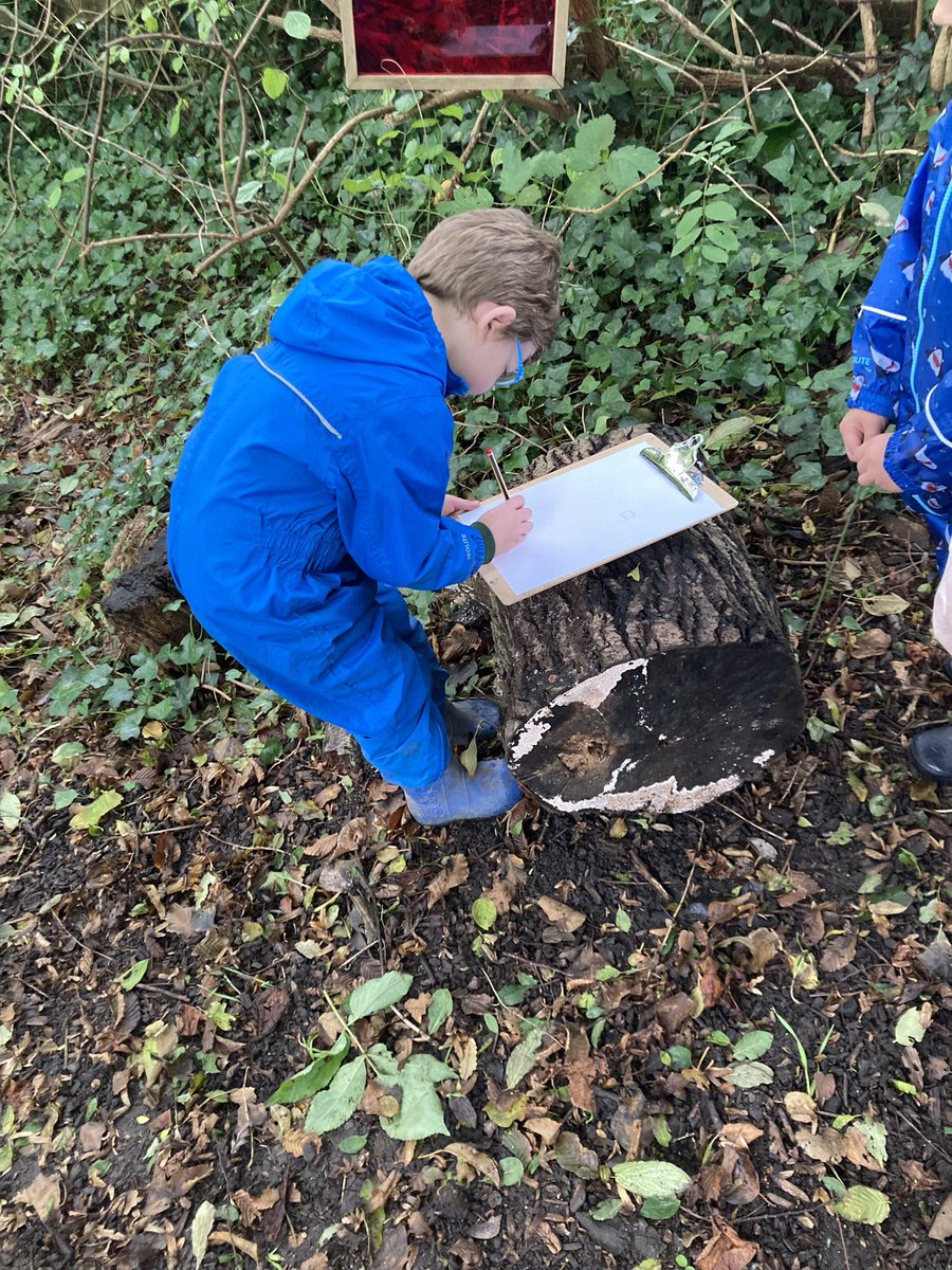 MrsLovejoyEYFS's tweet photo. We’re learning about how and where we belong and so our forest school visit this week involved mapping the journey from classroom to forest school. The children talked confidently about the route we took and what features we passed on the way. @CastleBatch @MrsBlakeCastle1 https://t.co/AjsTeS73rH
