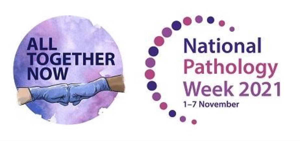 NuTHPathology's tweet photo. Did you know that healthcare laboratories are involved in over 70% of diagnoses in the NHS?🥼

@NuTHPathology we process approximately 3 million requests per year, which equates around 15 million individual tests! 🦠🧫🧪🩸🧬

#AllTogetherNow #PathologyWeek #AtTheHeartofHealthcare https://t.co/F2Bjmmhfzj