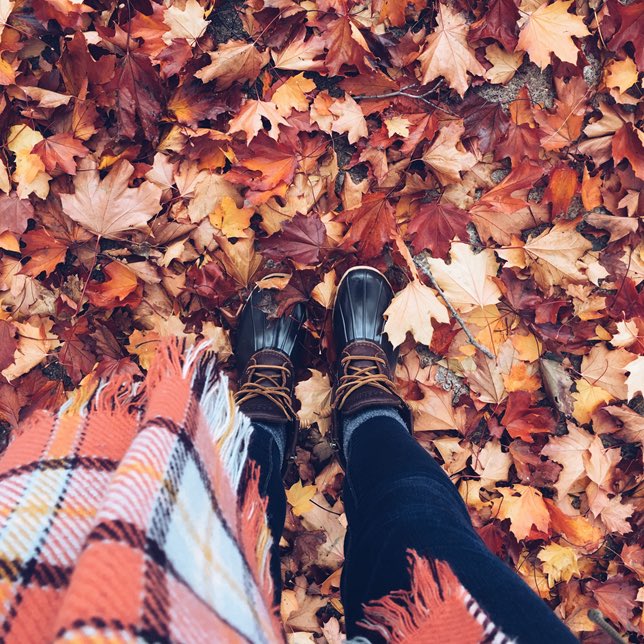 uchicagodining tweet media