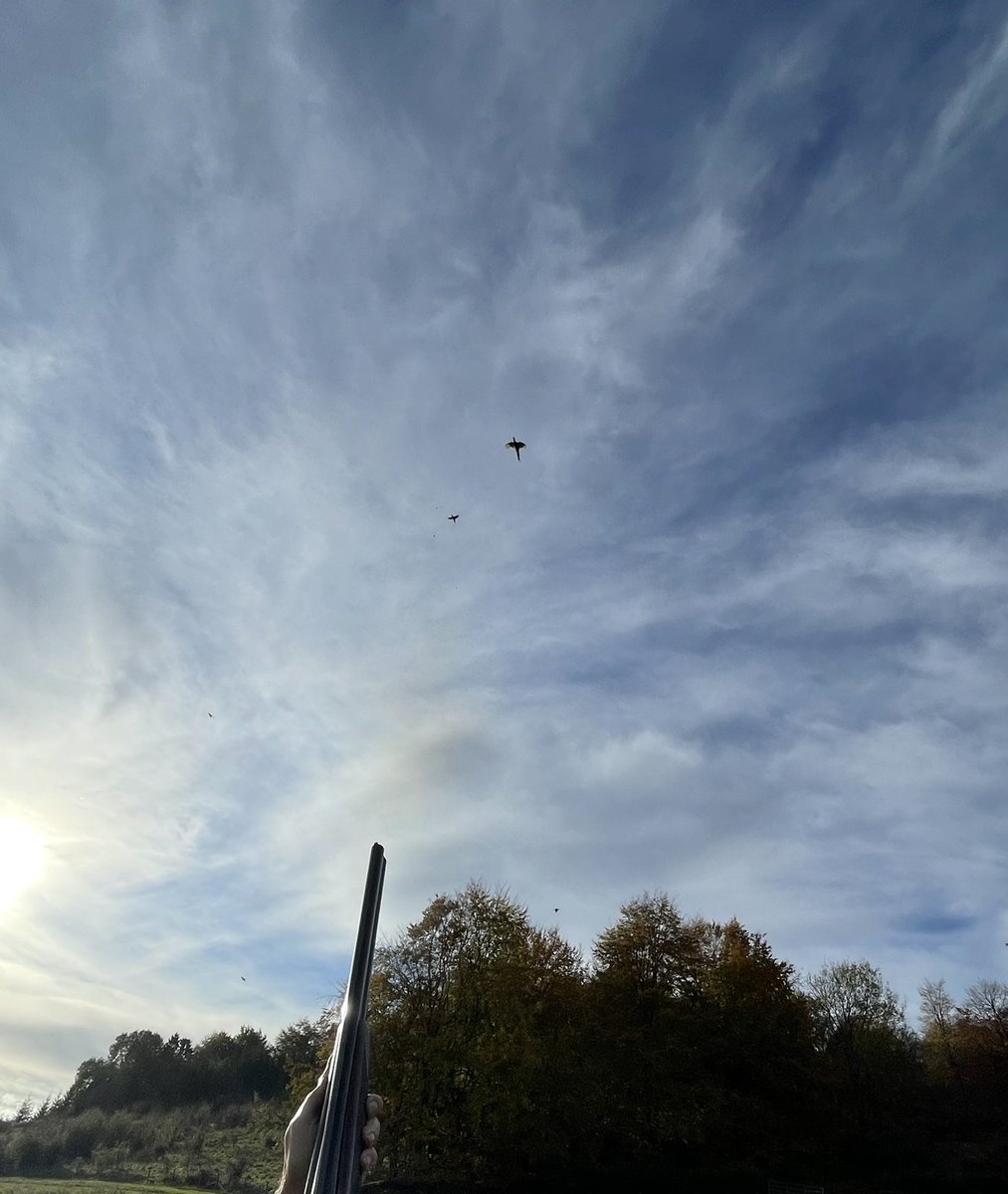 mathew_rivers's tweet photo. Wormsley Estate https://t.co/MCK065ypCx