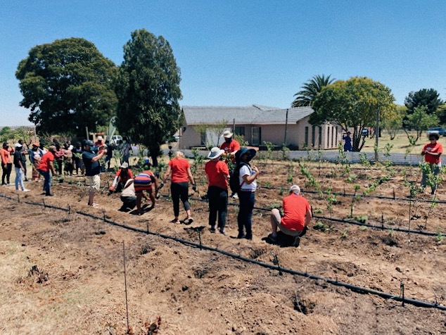 ftfa's tweet photo. In October, we celebrated #WorldFoodMonth! A highlight for the @FTFA team was planting fruit trees and companion plants with @HSBC South Africa staff volunteers at Althea Plots in the newly established #EnterpriseOrchard.
#FoodSecurity #FoodForest #GrowYourOwnFood https://t.co/Xbe09sWtIW