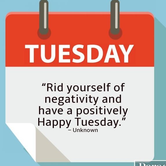 Happy #Tuesday!

Tuesday's aren't all bad, they're proof that you made it through Monday? 🤔💪